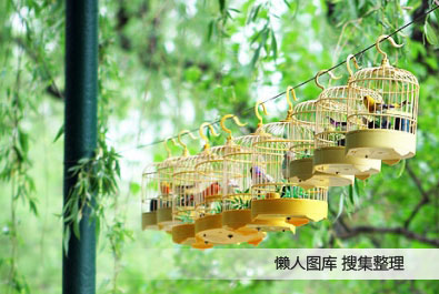 玩乐车主故事 因为年轻-所以要“野”玩乐车主故事 因为年轻-